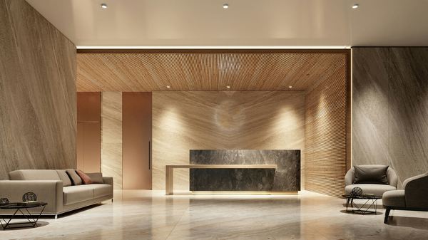 Foyer & Entrance Design - photo 3
